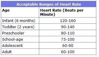 Normal Heart Rate By Age Infant
